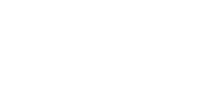 Site Logo white